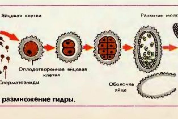 Кракен нарко шоп